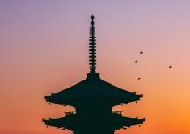 ash-edmonds-uztw2giebSc-unsplash (1).jpg