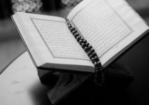 pexels-abdulmeilk-aldawsari-36704.jpg