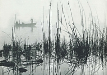 تغير العلاقة مع البيئة.png