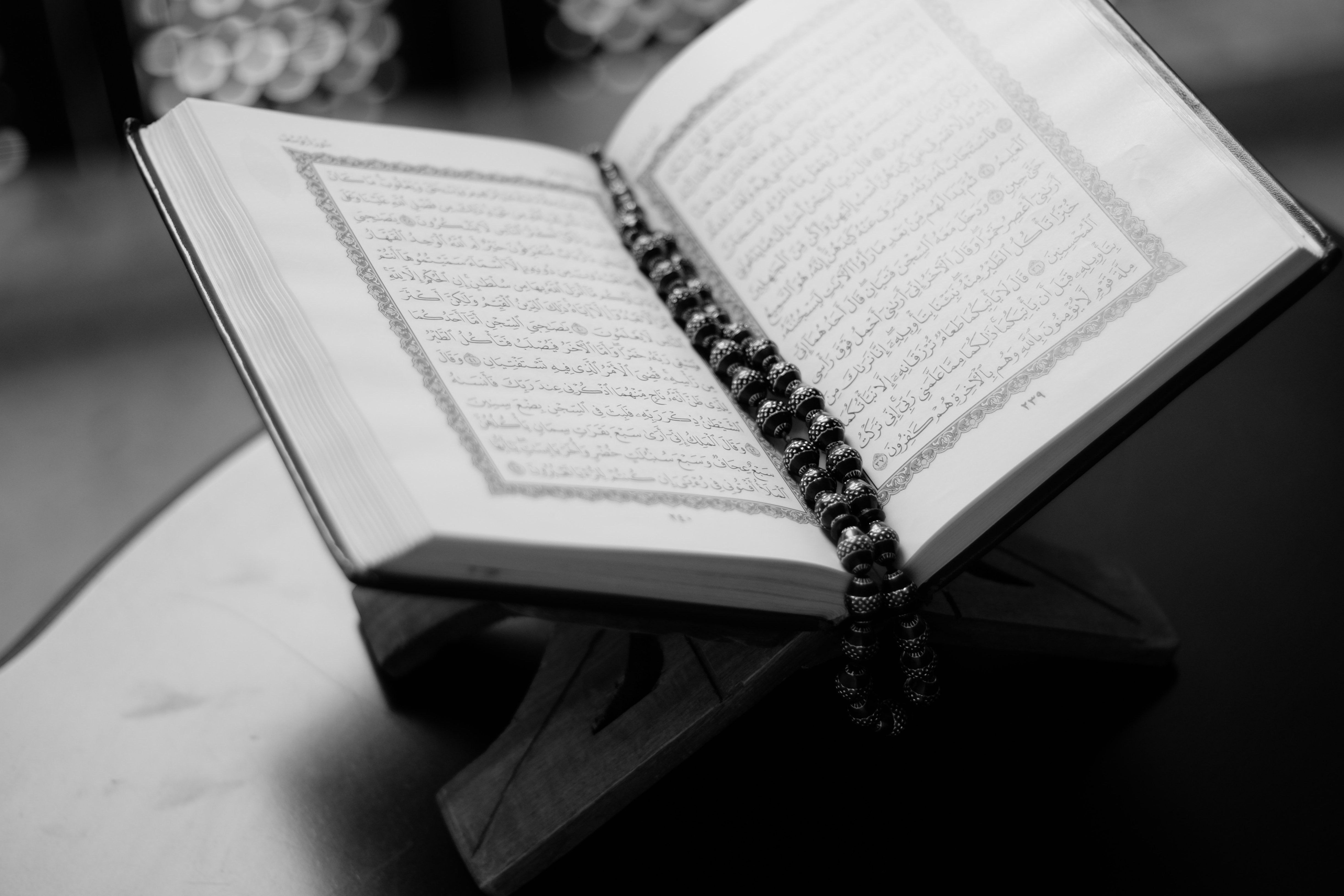 pexels-abdulmeilk-aldawsari-36704.jpg